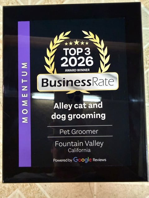 BusinessRate TOP 3 2026 award plaque for Alley cat and dog grooming in Fountain Valley, California